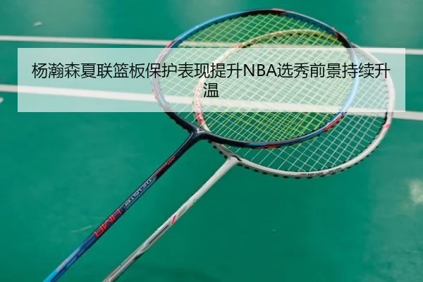 杨瀚森夏联篮板保护表现提升NBA选秀前景持续升温